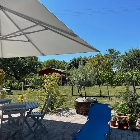 Panoramic Tranquility On Hill Of Vineyard Apartment *
