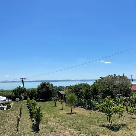 Panoramic Tranquility On Hill Of Vineyard Apartment