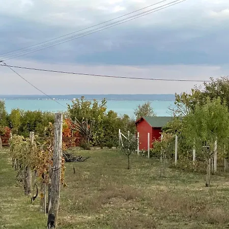 Panoramic Tranquility On Hill Of Vineyard Apartment