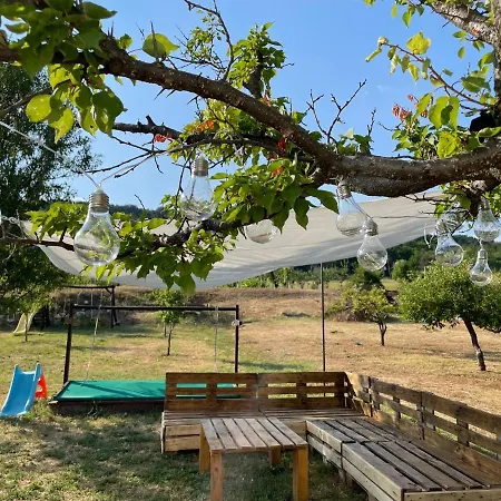 Panoramic Tranquility On Hill Of Vineyard Csopak