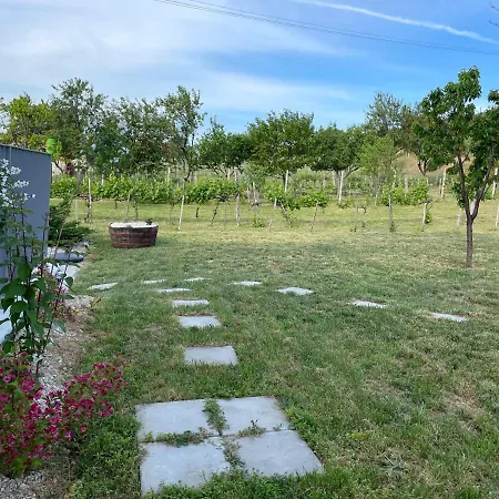 Apartment Panoramic Tranquility On Hill Of Vineyard *