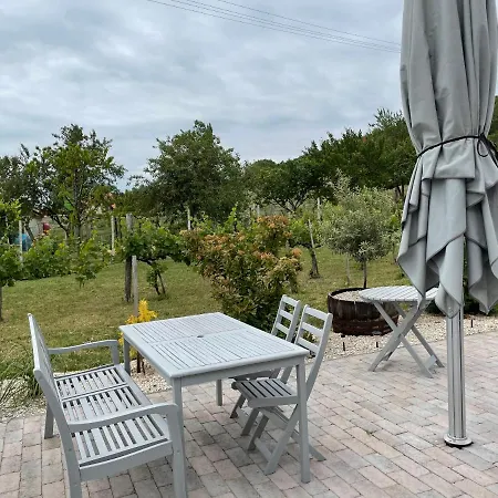 Panoramic Tranquility On Hill Of Vineyard * Csopak