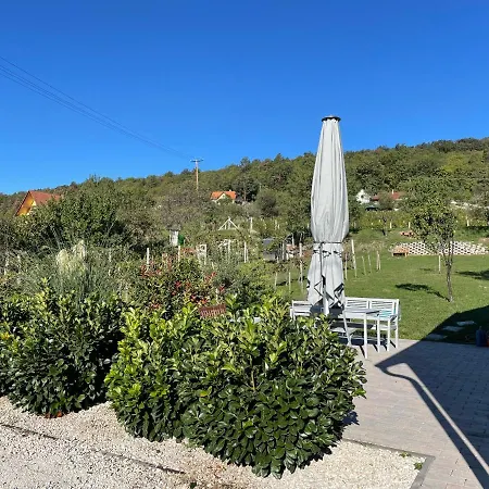 Panoramic Tranquility On Hill Of Vineyard * Csopak