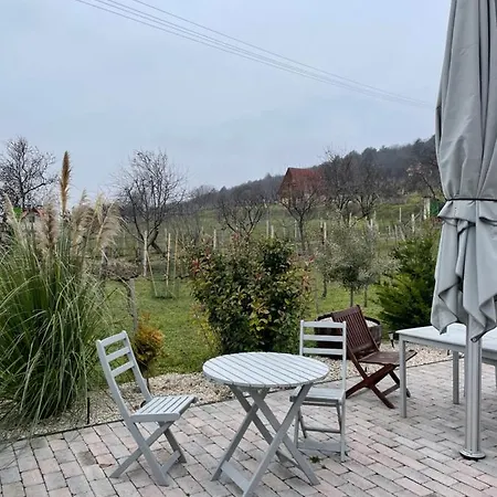 Panoramic Tranquility On Hill Of Vineyard Апартаменты *